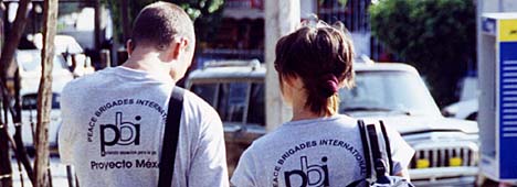 Mexico Volunteers